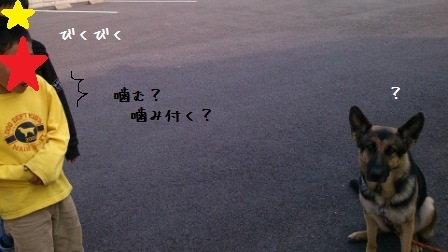 ドコの子? (2)