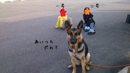 ドコの子?