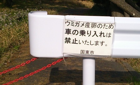 現場へ (2)