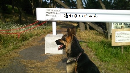 現場へ (3)
