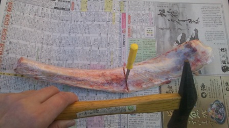 骨