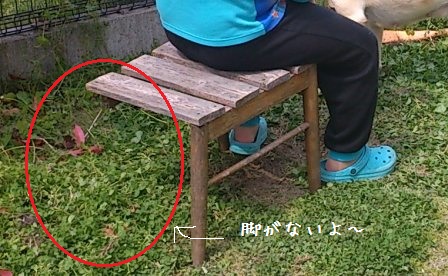 危ない?!