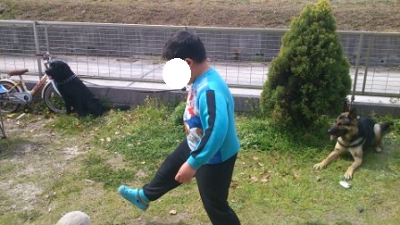 ジャックの庭で (2)