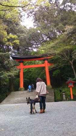宇佐神宮 (4)