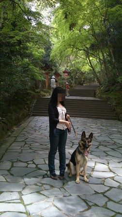 宇佐神宮 (9)