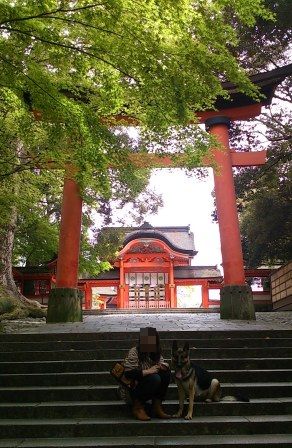 宇佐神宮 (10)