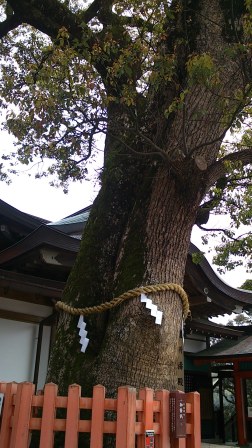 宇佐神宮 (12)