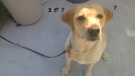 ジャック家で (4)