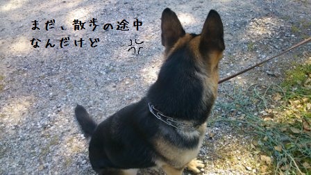 ジャック家で (5)