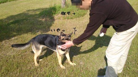 広場 (6)