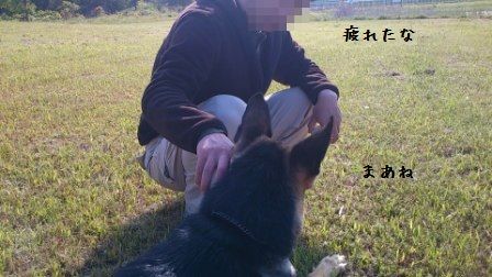 広場 (15)
