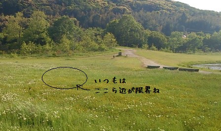 広場 (11)