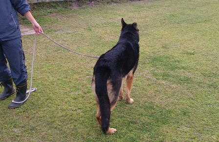 訓練所でベン