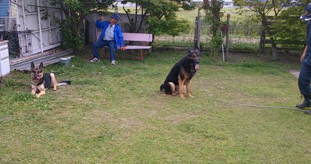訓練所でベン (6)
