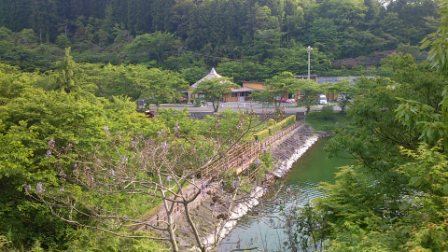 訓練所からの帰り道