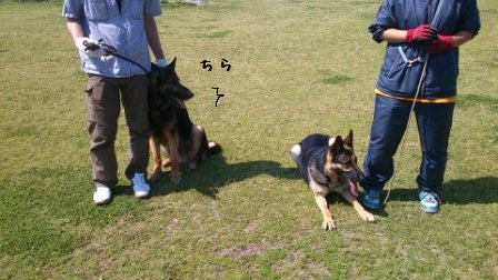 面会 (3)