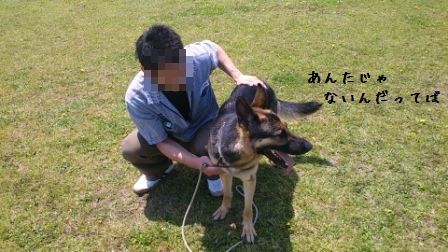 面会