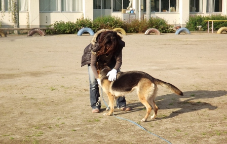 アミー3