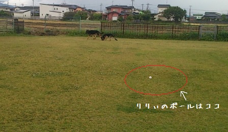 ベンとりりぃ (3)