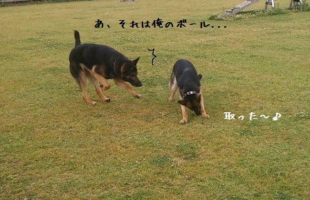 ベンとりりぃ