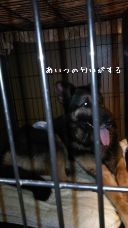 ベン