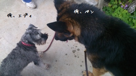 ベンです (2)