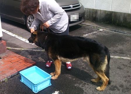 合宿中のべん