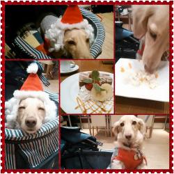 photoshake_1352627721262 (2)3