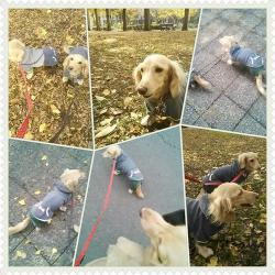 photoshake_1354330664836 (3)