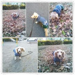 photoshake_1355034760585 (2)