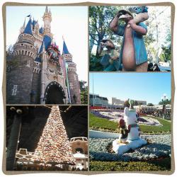 photoshake_1355136618966 (2)