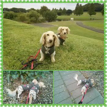 photoshake_13514662580033.jpg
