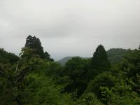DSC_0152.jpg