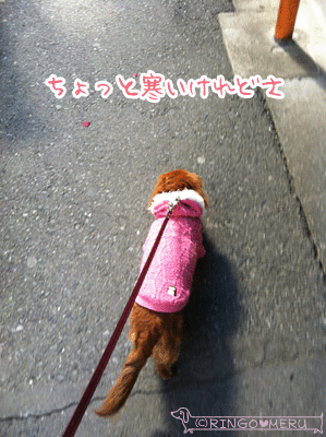 20130216_7