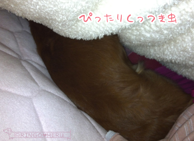 20130216_1
