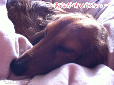 20130217_3