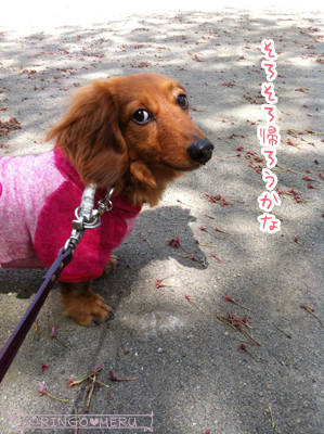 20130414_9
