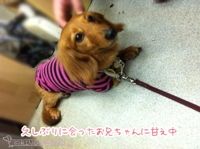 20130519_14