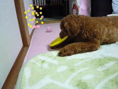 フリスピー3