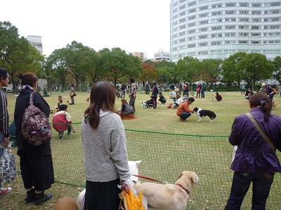 動物愛護フェスタ4