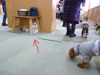 じごろう3