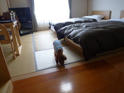 湯布院 部屋2