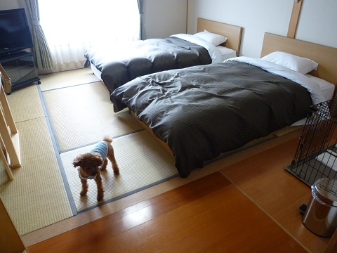湯布院 部屋3
