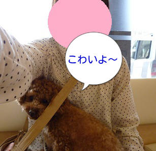 狂犬病1文字
