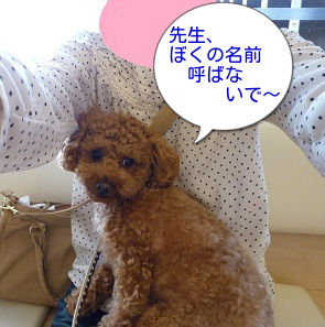 狂犬病2文字