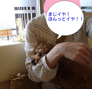 狂犬病3文字
