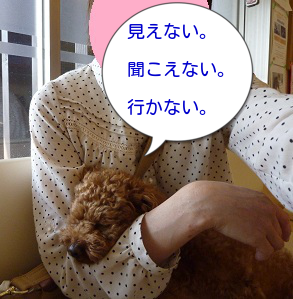 狂犬病4文字