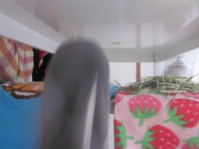 14012201.jpg