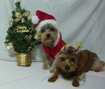 クリスマス2012