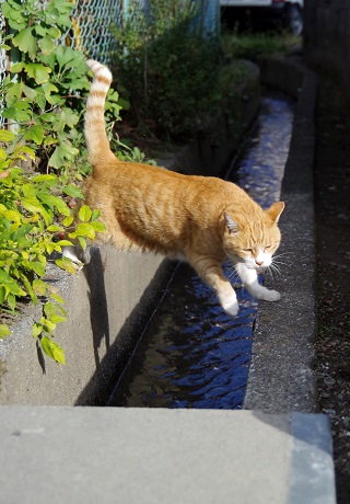 落ちないでよ